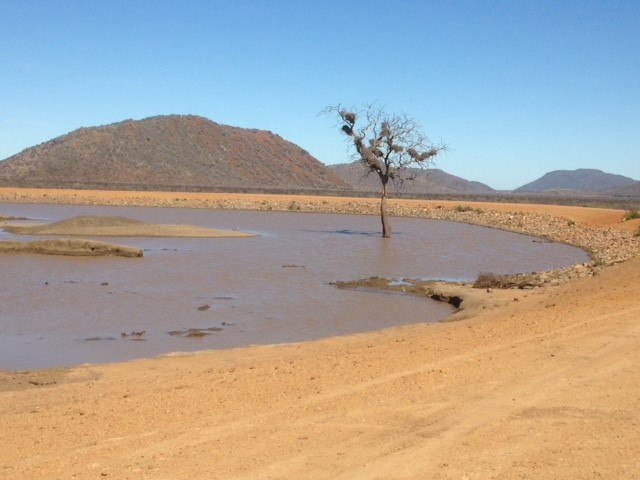 November News - finally the rain came - by Kelly Oldaker