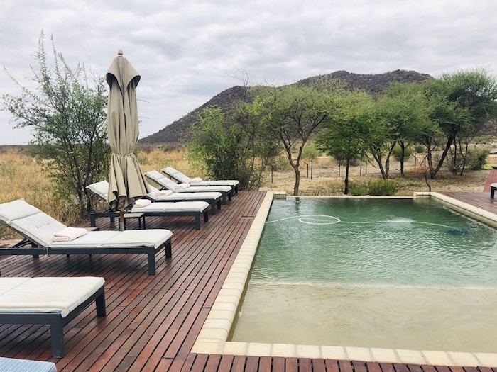 Relax in the African sun with a cocktail by the pool Tau Game Lodge Swimming pool