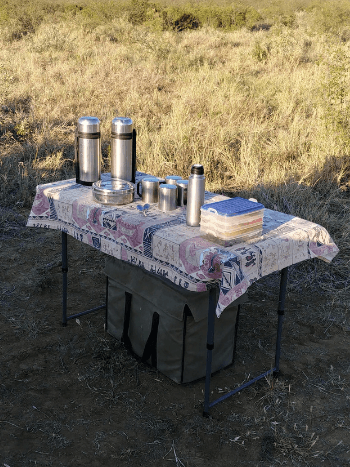 Tau Luxury Safari Lodge